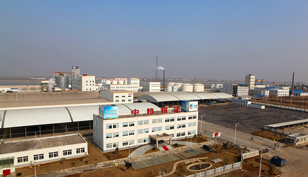 手動密集架施工基地的中糧東莞公司總部