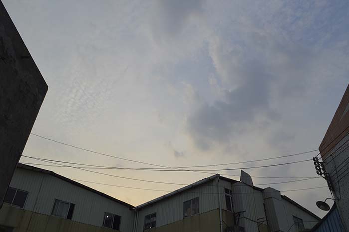 1595917991187292.jpg _DSC0008.JPG